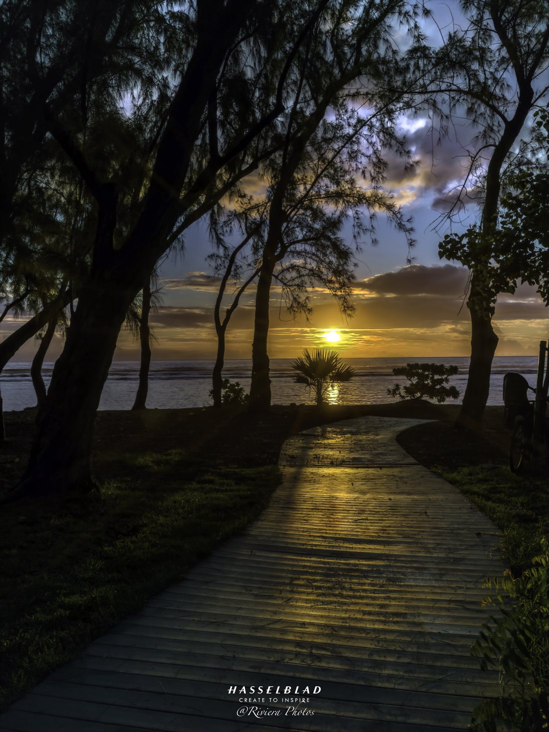 Chemin de planches sous les filaos qui mène vers la mer, le soleil couchant au ras de l'horizon.